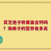 灵芝孢子粉里面含钙吗？海蛎子的营养有多高