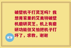 破壁机干打灵芝吗？我想用家里的艾美特破壁机磨研灵芝，机上有磨研功能但又怕把机子打坏了，求教，谢谢