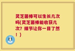 灵芝菌棒可以生长几次吗(灵芝菌棒能收获几次？细节让你一目了然！)