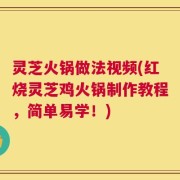 灵芝火锅做法视频(红烧灵芝鸡火锅制作教程，简单易学！)