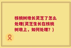 核桃树墩长灵芝了怎么处理(灵芝生长在核桃树墩上，如何处理？)