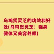 乌鸡煲灵芝的功效和好处(乌鸡煲灵芝：强身健体又美容养颜)