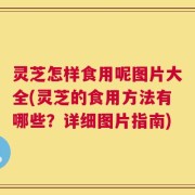 灵芝怎样食用呢图片大全(灵芝的食用方法有哪些？详细图片指南)
