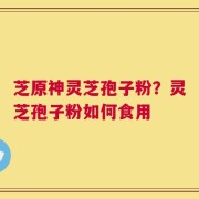 芝原神灵芝孢子粉？灵芝孢子粉如何食用