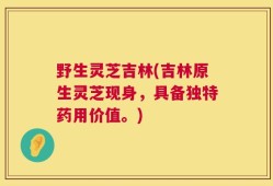 野生灵芝吉林(吉林原生灵芝现身，具备独特药用价值。)