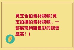 灵芝合拍素材视频(灵芝拍摄的素材视频，一部展现绚丽色彩的视觉盛宴！)