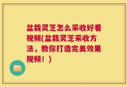 盆栽灵芝怎么采收好看视频(盆栽灵芝采收方法，教你打造完美效果视频！)