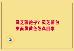 灵芝菌孢子？灵芝菌包里面发黄色怎么回事