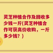 灵芝种植合作及回收多少钱一斤(灵芝种植合作可获高价收购，一斤多少钱？)