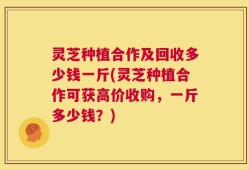 灵芝种植合作及回收多少钱一斤(灵芝种植合作可获高价收购，一斤多少钱？)