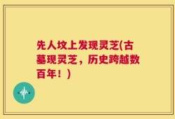 先人坟上发现灵芝(古墓现灵芝，历史跨越数百年！)