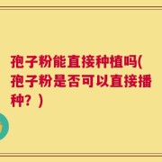 孢子粉能直接种植吗(孢子粉是否可以直接播种？)