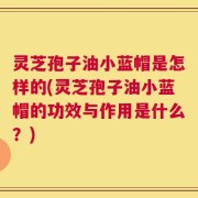 灵芝孢子油小蓝帽是怎样的(灵芝孢子油小蓝帽的功效与作用是什么？)