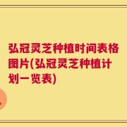 弘冠灵芝种植时间表格图片(弘冠灵芝种植计划一览表)