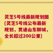 灵芝5号线最新规划图(灵芝5号线公布最新规划，贯通山东聊城，全长超过200公里)