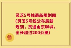 灵芝5号线最新规划图(灵芝5号线公布最新规划，贯通山东聊城，全长超过200公里)
