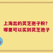 上海出的灵芝孢子粉？哪里可以买到灵芝孢子