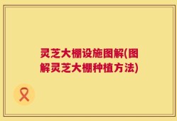 灵芝大棚设施图解(图解灵芝大棚种植方法)