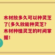 木材放多久可以种灵芝了(多久放能种灵芝？木材种植灵芝的时间掌握！