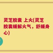 灵芝胶囊 上火(灵芝胶囊缓解火气，舒缓身心)
