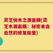 灵芝悦木之源面膜(灵芝木源面膜：秘密来自自然的修复能量)