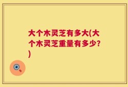大个木灵芝有多大(大个木灵芝重量有多少？)