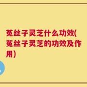 菟丝子灵芝什么功效(菟丝子灵芝的功效及作用)