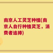 南京人工灵芝种植(南京人自行种植灵芝，消费者追捧)