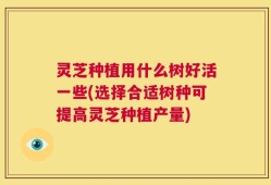 灵芝种植用什么树好活一些(选择合适树种可提高灵芝种植产量)