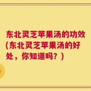 东北灵芝苹果汤的功效(东北灵芝苹果汤的好处，你知道吗？)