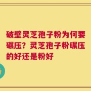 破壁灵芝孢子粉为何要碾压？灵芝孢子粉碾压的好还是粉好