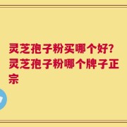 灵芝孢子粉买哪个好？灵芝孢子粉哪个牌子正宗