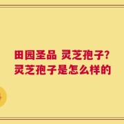 田园圣品 灵芝孢子？灵芝孢子是怎么样的