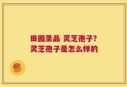 田园圣品 灵芝孢子？灵芝孢子是怎么样的