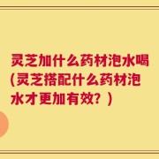 灵芝加什么药材泡水喝(灵芝搭配什么药材泡水才更加有效？)