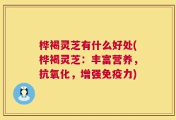 桦褐灵芝有什么好处(桦褐灵芝：丰富营养，抗氧化，增强免疫力)