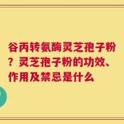 谷丙转氨酶灵芝孢子粉？灵芝孢子粉的功效、作用及禁忌是什么