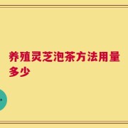 养殖灵芝泡茶方法用量多少