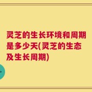 灵芝的生长环境和周期是多少天(灵芝的生态及生长周期)