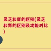 灵芝和肾的区别(灵芝和肾的区别及功能对比)