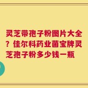 灵芝带孢子粉图片大全？佳尔科药业菌宝牌灵芝孢子粉多少钱一瓶