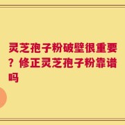 灵芝孢子粉破壁很重要？修正灵芝孢子粉靠谱吗