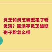 灵芝和灵芝破壁孢子粉煲汤？赋汤亭灵芝破壁孢子粉怎么样