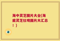 海中灵芝图片大全(海底灵芝壮观图片大汇总！)