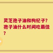 灵芝孢子油和枸杞子？孢子油什么时间吃最佳？