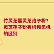 竹灵芝黑灵芝孢子粉？灵芝孢子粉有机和无机的区别