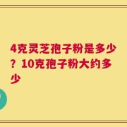 4克灵芝孢子粉是多少？10克孢子粉大约多少