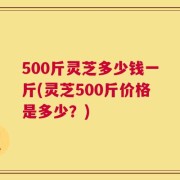 500斤灵芝多少钱一斤(灵芝500斤价格是多少？)
