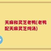 天麻和灵芝老鸭(老鸭配天麻灵芝炖汤)
