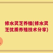 修水灵芝养植(修水灵芝优质养殖技术分享)